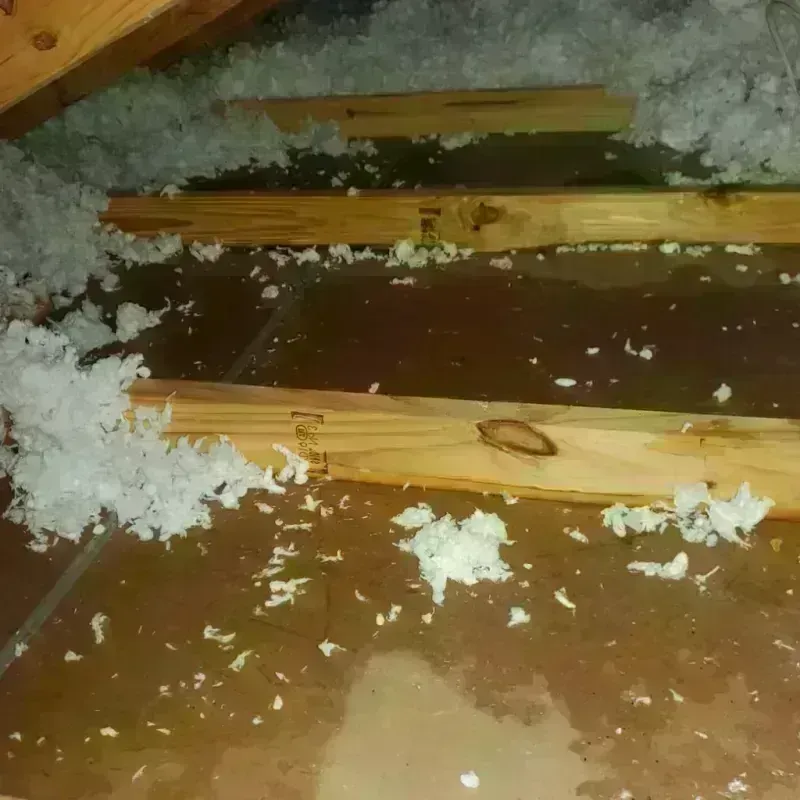 Attic Water Damage in Good Hope, AL